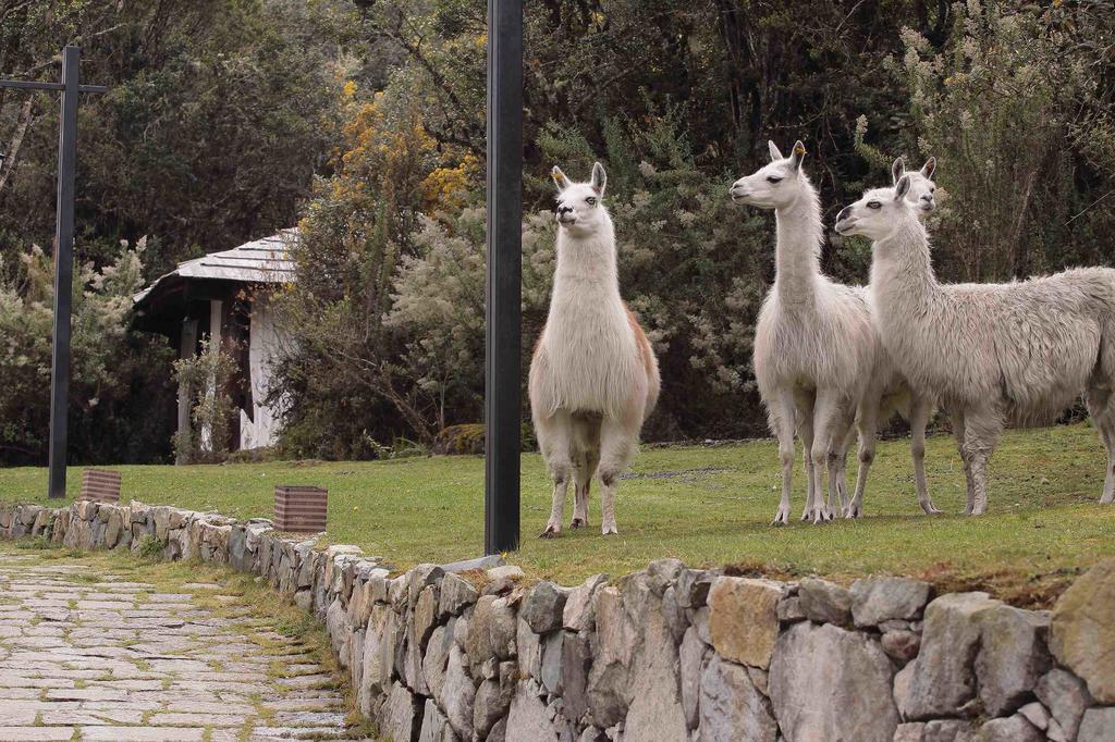 Hacienda Hosteria Dos Chorreras Κουένκα Εξωτερικό φωτογραφία